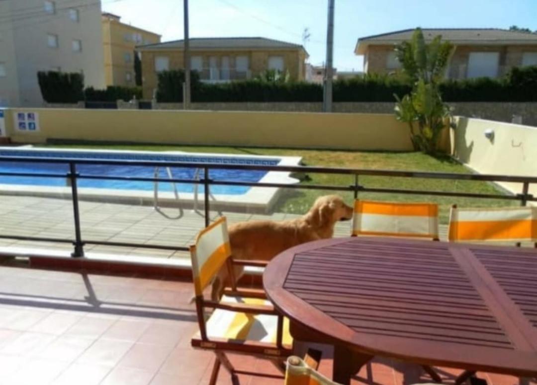 Apartamento Con Terraza Y Acceso Directo A La Piscina Y A 50 M De La Playa Miami Playa Exterior photo